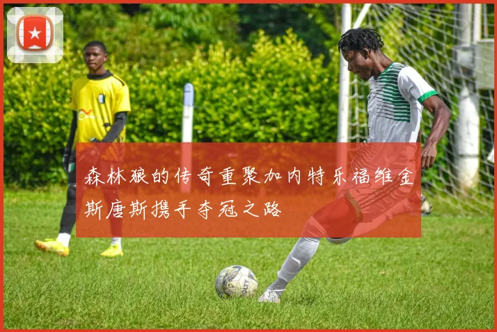 森林狼的传奇重聚加内特乐福维金斯唐斯携手夺冠之路
