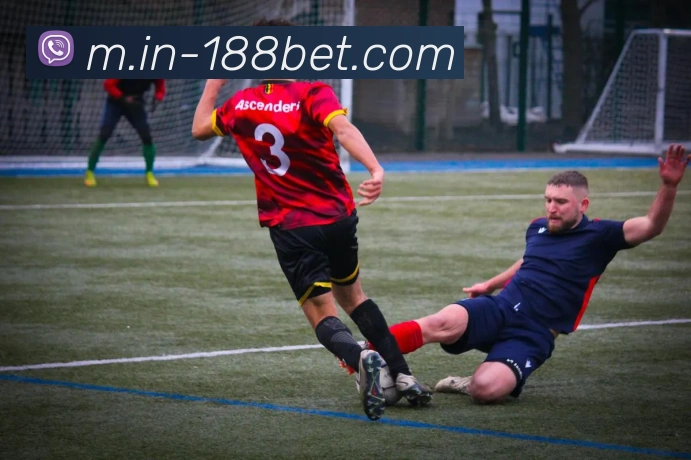 数据分析功能